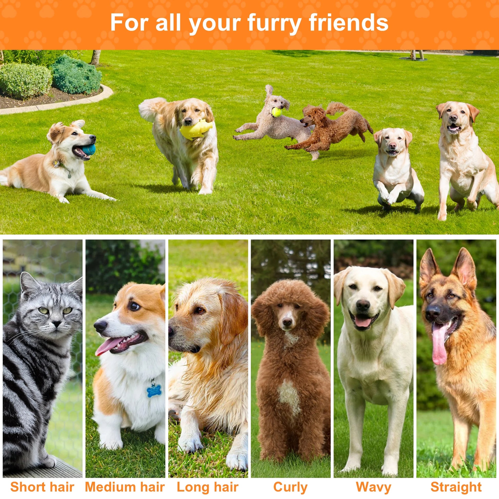 Dog Grooming Vacuum for Shedding – 13,200Pa Powerful 6-in-1 Pet Grooming Kit with Low-Noise Vacuum, Clippers, Brushes & Large 3.2L Dust Cup for Dogs & Cats